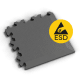 ESD Graphite