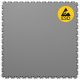 ESD Grey