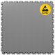 ESD Grey
