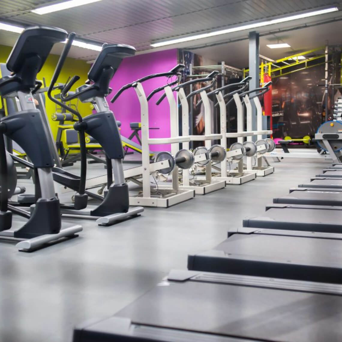 Fitness centrum, Česko