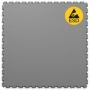ESD Grey
