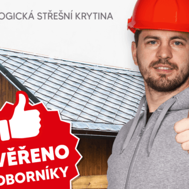 Recenze odborníků